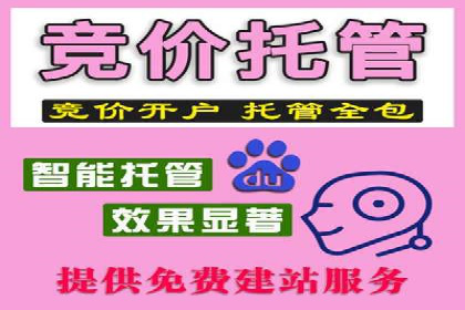 开户返点在移动支付领域的应用案例